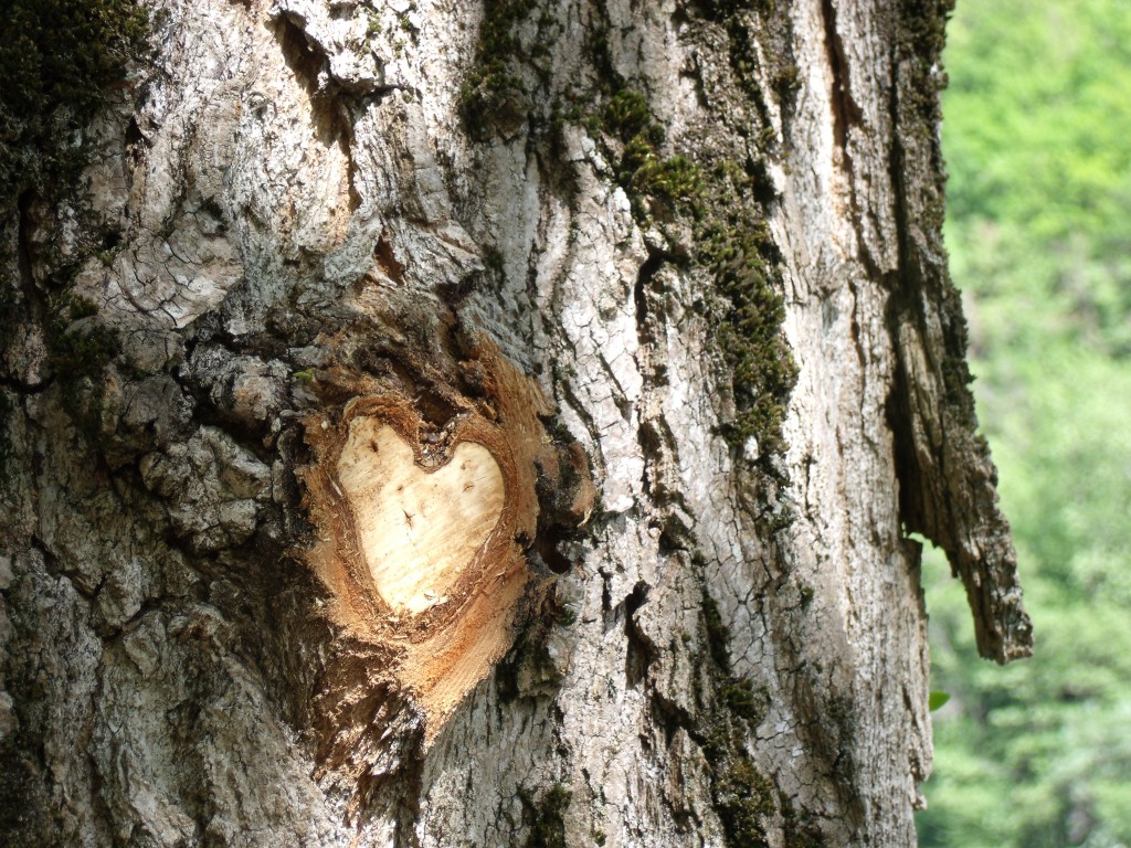 Au coeur des choses