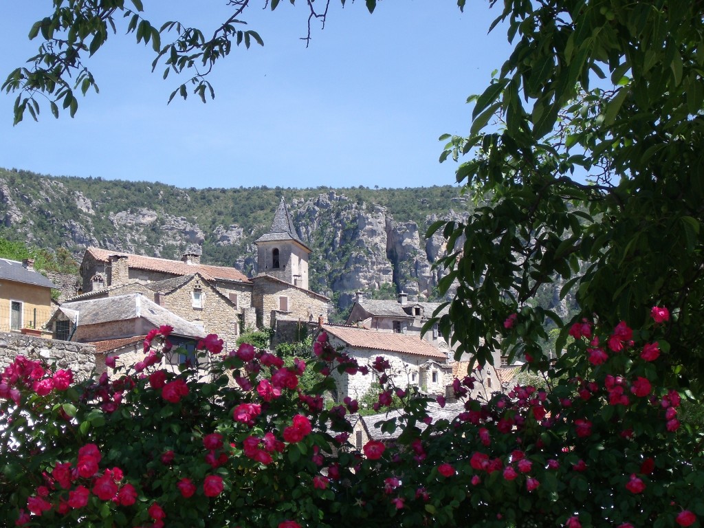 Derrière les fleurs