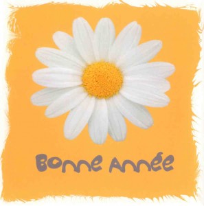 Bonne année 2011