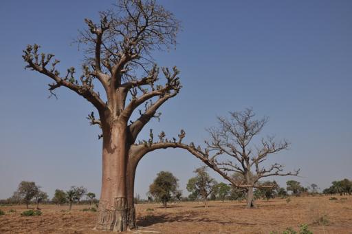 Au Burkina Faso