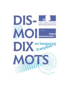 dismoidixmots-logo